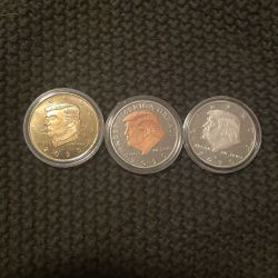 2020 Amendment Coins  