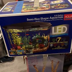 Fish Tank 