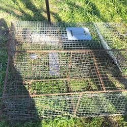 $30 For The Two Cases For Whatever You Want Raccoon Box Fox