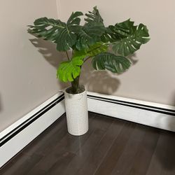 Faux Plant 