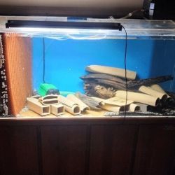 75 Gallon Acrylic Uniquarium Setup