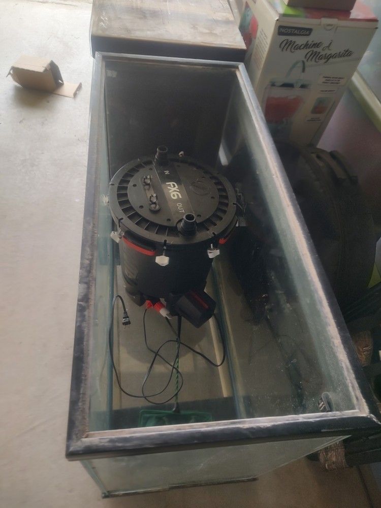 40 Gallon Fish Tank With FX Filter System