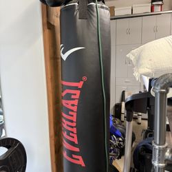 Punching Bag (100 Lbs)