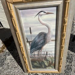 framed bird pictures