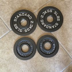 Rogue Standard Barbell 2.5lb 5lb Olympic Weight Plate Set 