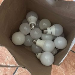 Bag Of LED Light Bulbs