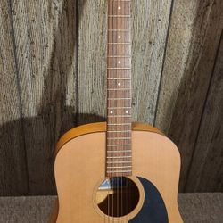 Seagull Acoustic Guitar 