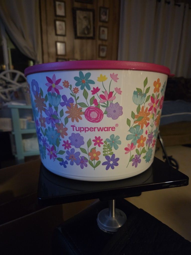 6.6 L Bowl