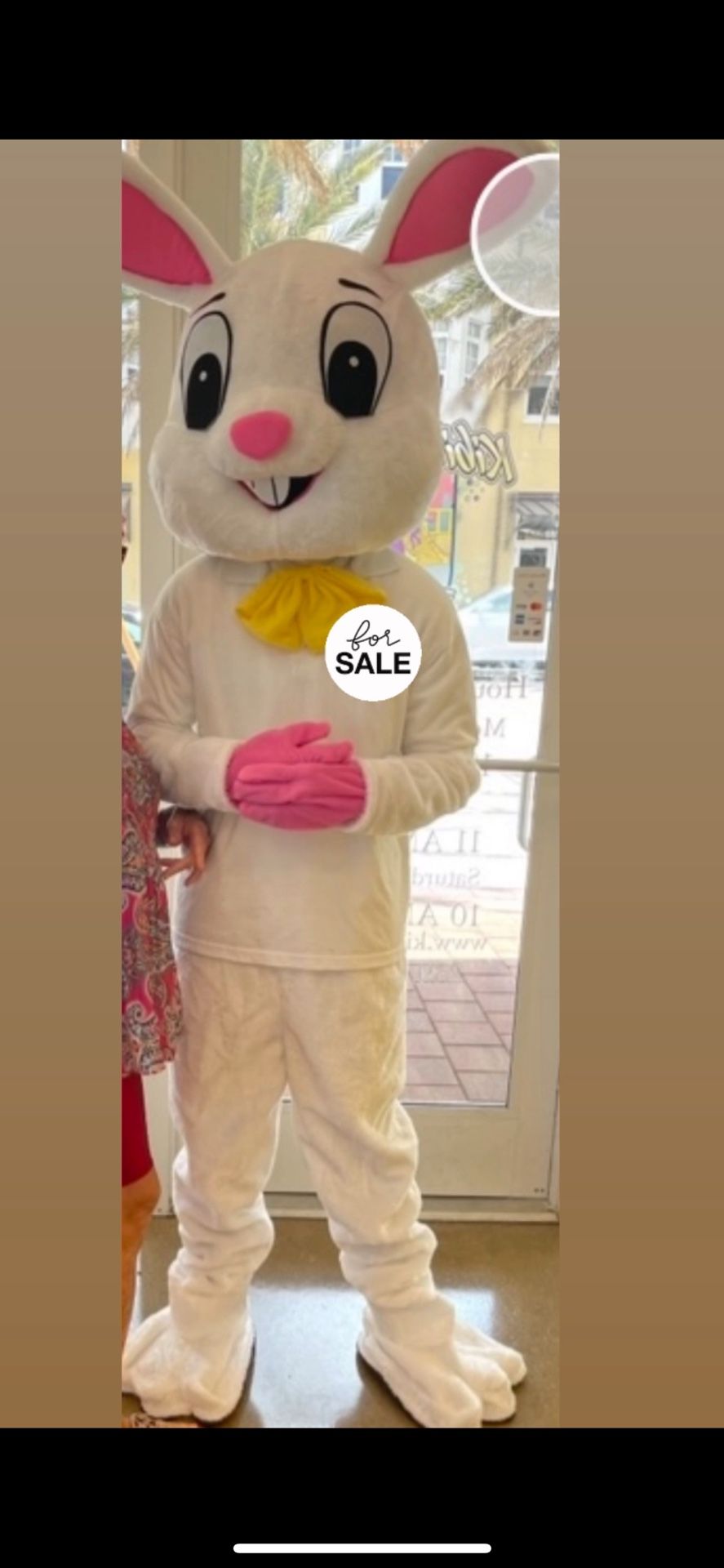 Life Size bunny Costume 
