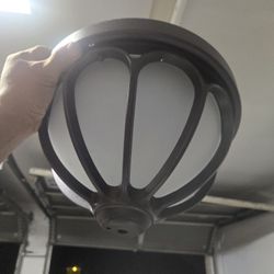 Luz
