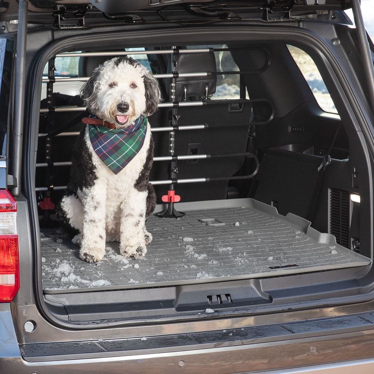 WeatherTech PET Barrier With Fence Kit for Vehicle $135