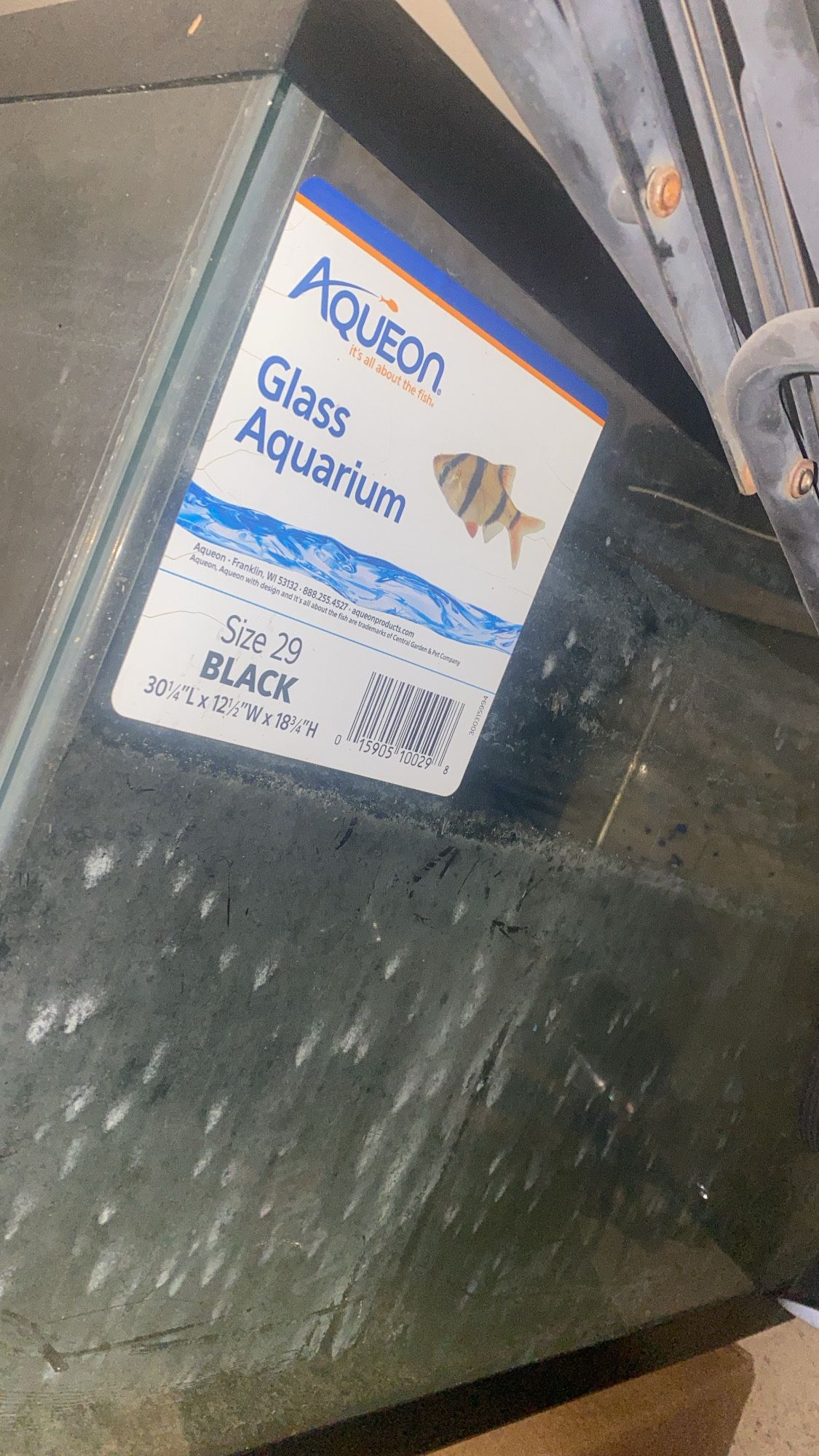 Fish Aquarium