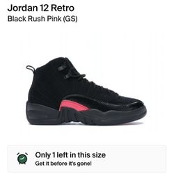 Air Jordan 12 Retro