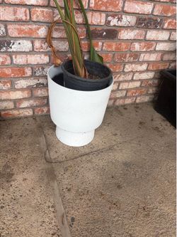 Big thick plastic planter