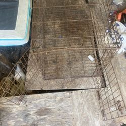 Big Dog Cage 