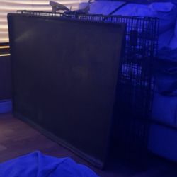 Dog Cage 
