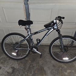 Carry Fisher Bike 