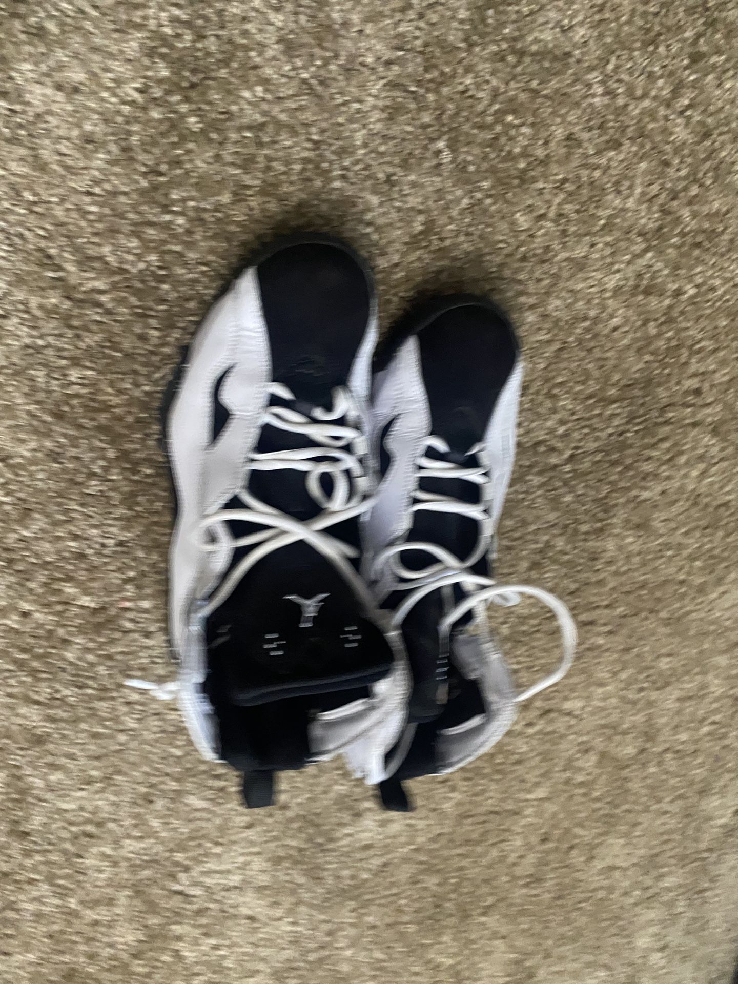 Jordan’s