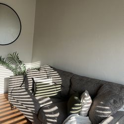 Gray Modern Couch