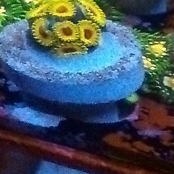 Great Owls (Reef Aquarium)