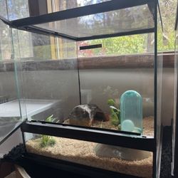 Lizard Cage 18 Inch X 18 Inch. With Door Everything Included