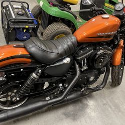 2021 Harley Davis Iron Head 