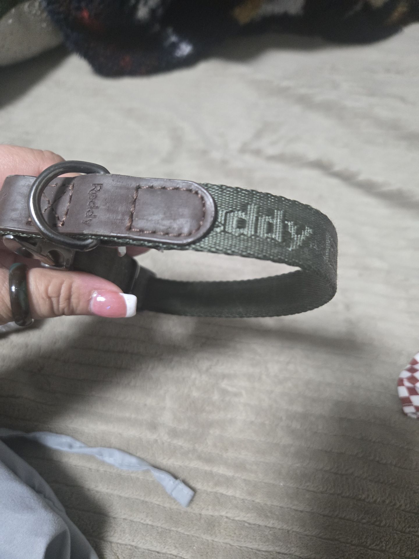 SMALL DOG COLLAR & HARNESS