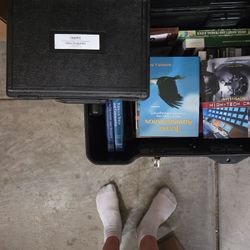 Criminal Justice And Politics Items