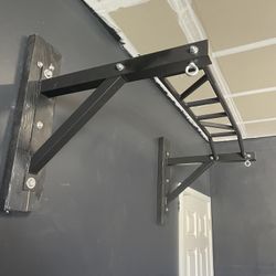 Wall Mounted Pull Up Bar