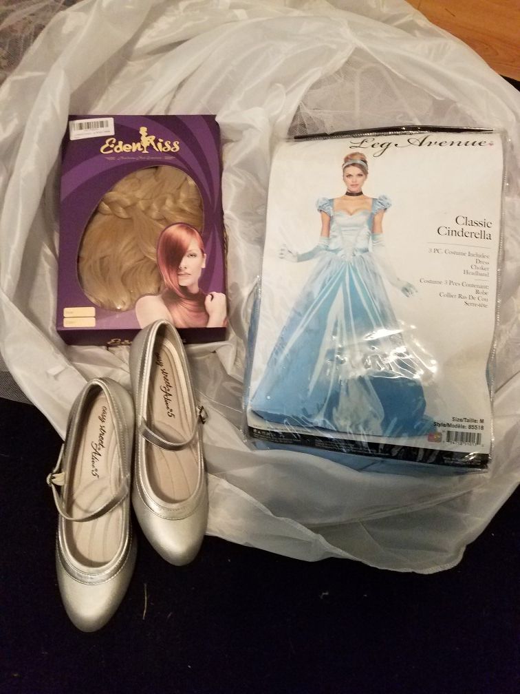 New Cinderella costume