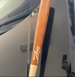 Zinger Pro Baseball Bat