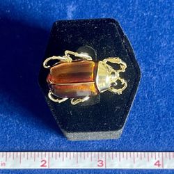 New - Unique & Beautiful Brown Scarab Brooch.