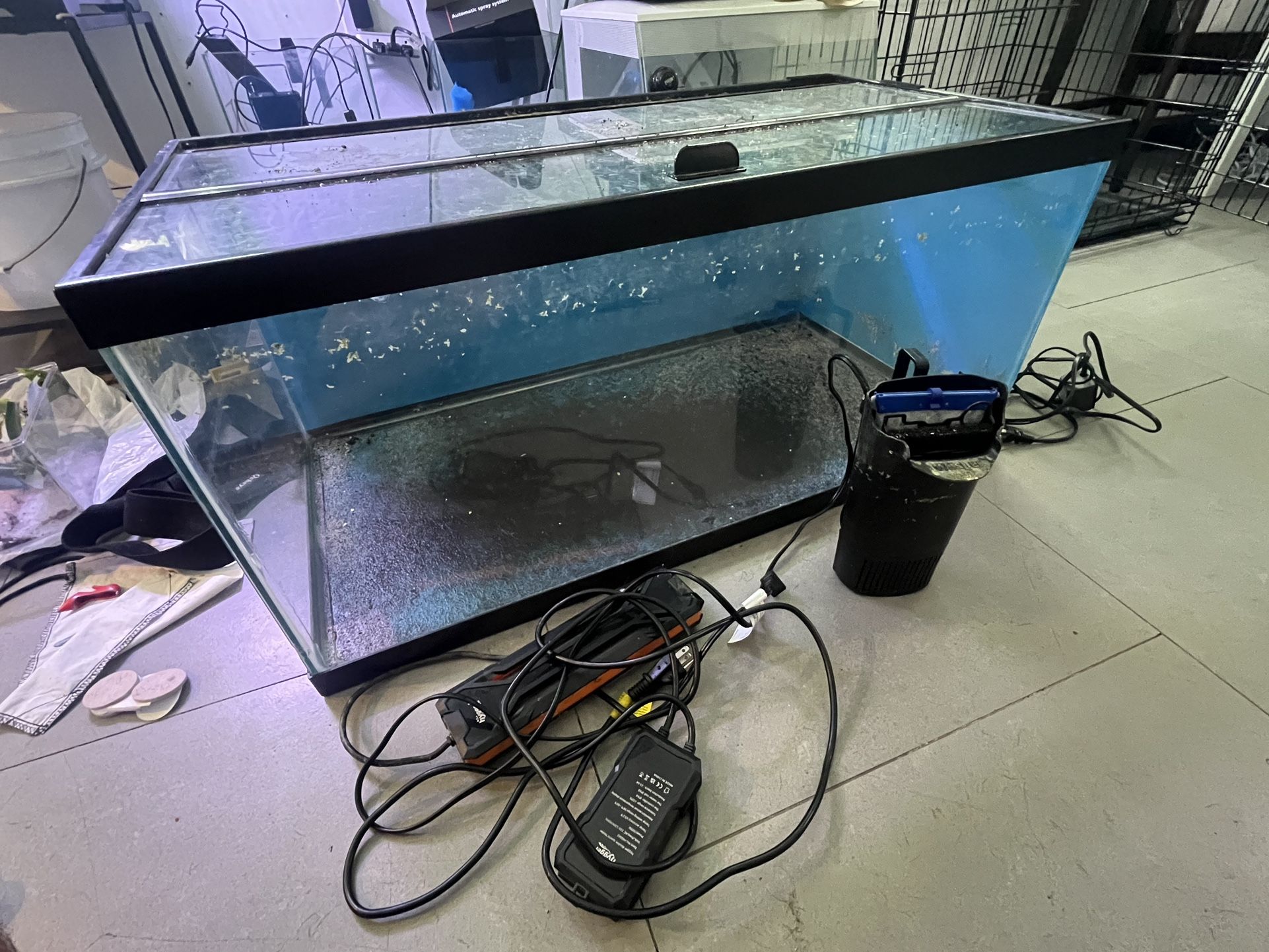 40 Gallon Fish Tank