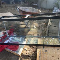 60 Gallon Aquarium Tank