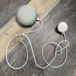 Google Mini Nest