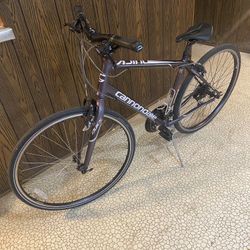 Cannondale Quick 5. Size L Beautiful Bike