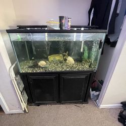 160 Gallon Fish Tank 