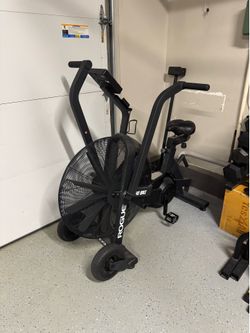 Rogue Echo Bike