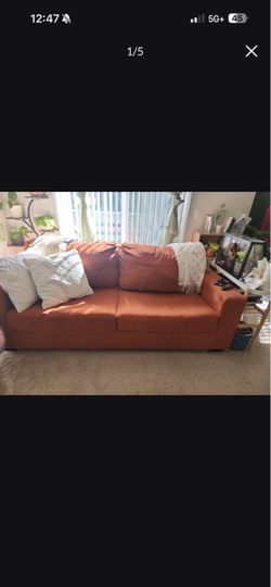 Hide-a-bed  Sofa
