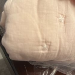Pottery Barn Light Pink Twin Comforter and Sham 