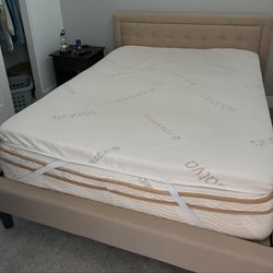 Saatva Queen Bed With Bed Frame