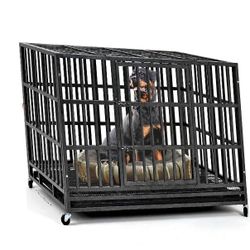 hospital many Strong Pet Cages - Safety and Coziness for Your Pet Pal