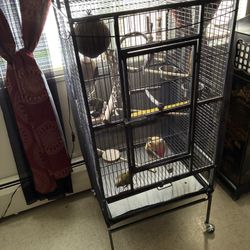 “Bird” Cage ! 