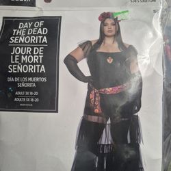 Day Of The Dead SEÑORITA Costumes Adults