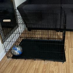 Black metal wire dog crate