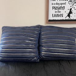Set Of Two Pillows