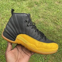 Air Jordan 12