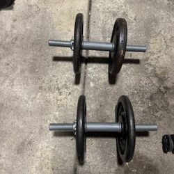 Sports Authority X Dan Lurie Dumbells