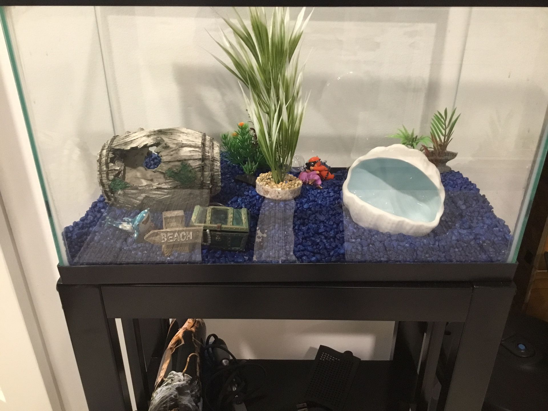 10 Gallon Fish Tank