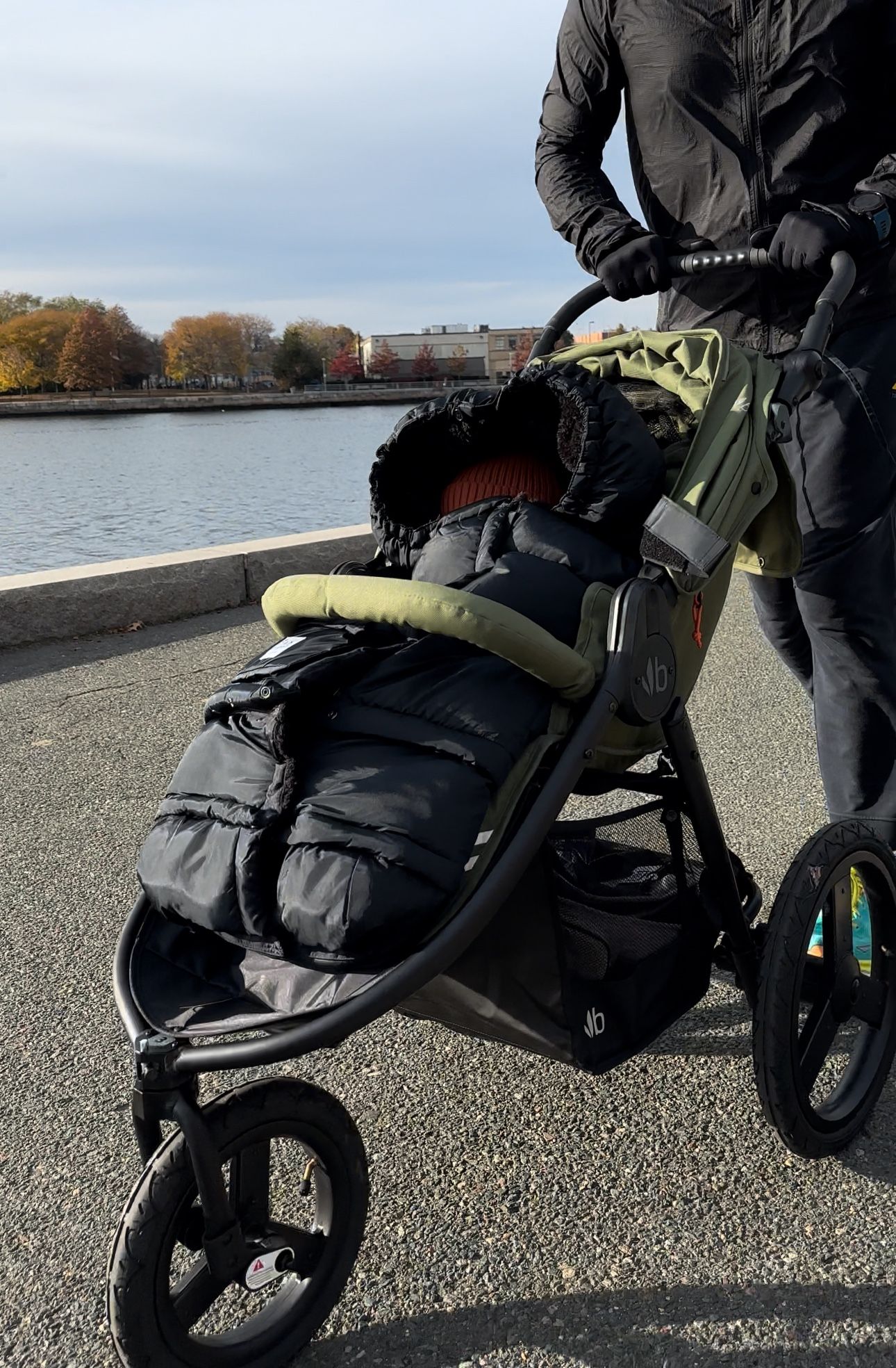 Bumble ride Jogging Stroller